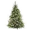 🎄