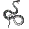 🐍