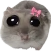 🐹