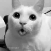 😦