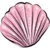 🐚