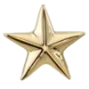 🌟