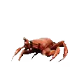 🦀
