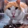 😨