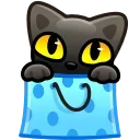 🐈‍⬛