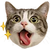 😛