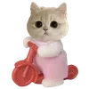 🐈