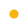 🟡
