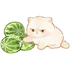 🍉