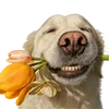 💐