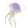 ⭐