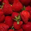 🍓