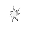 🌟