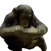🦍