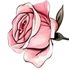 🌹