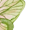 🦋
