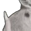 ⭐