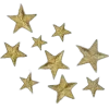 🌟