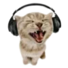 🎧
