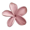 🌺