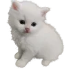 🐈
