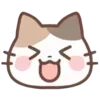 🐾