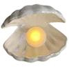 🐚