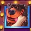 🐕