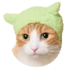 🐸