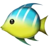 🐠