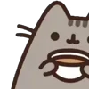 ⭐