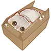 📦