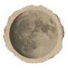🌚