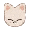 🦊