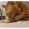 😨