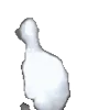 🏃‍♀️