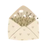 ✉️