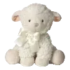 🐑