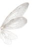 🦋