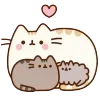 💞