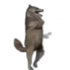 🤩