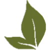 🌿