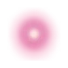 🩷