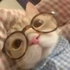 🕶️