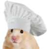 👩‍🍳