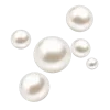 🐚