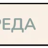 🕊️