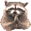 🦝