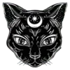 🐈‍⬛