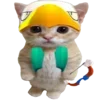 🐈